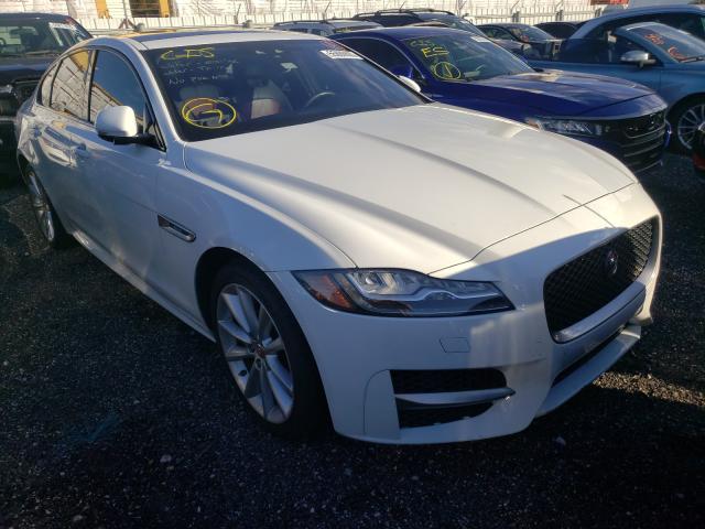 JAGUAR XF R - SPO 2016 sajbf4bv4gcy18669