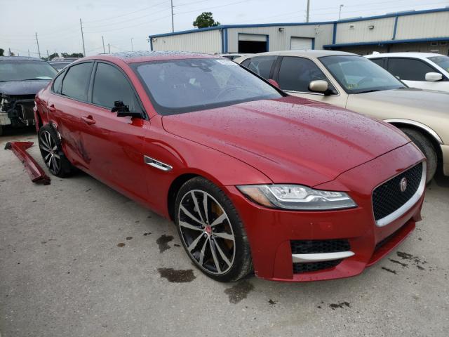 JAGUAR XF R - SPO 2017 sajbf4bvxhcy45215