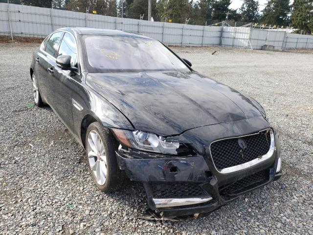 JAGUAR XF PREMIUM 2019 sajbj4fx2kcy79537