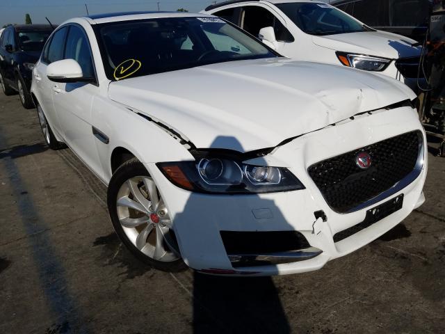 JAGUAR XF PREMIUM 2019 sajbj4fx4kcy79250