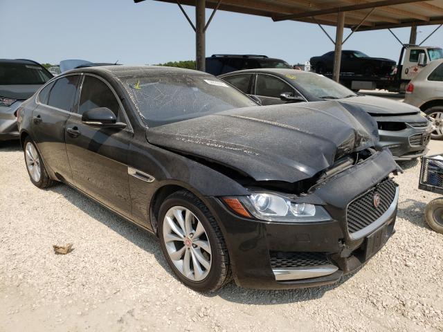 JAGUAR XF PREMIUM 2019 sajbj4fx9kcy79339