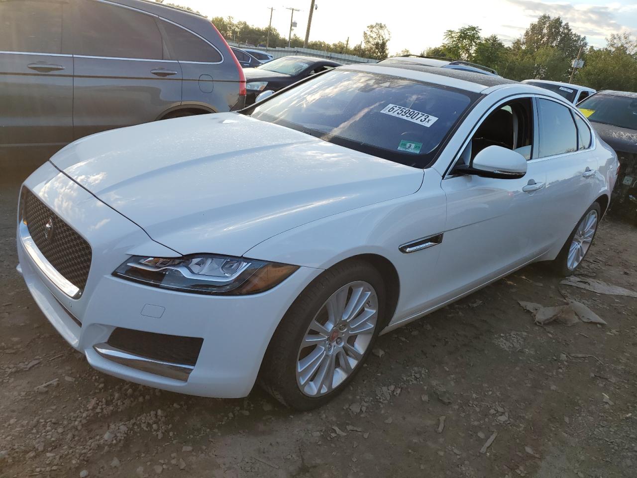 JAGUAR XF 2017 sajbk4bn7hcy42560