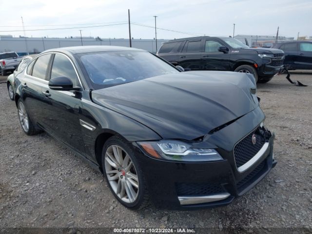 JAGUAR XF 2016 sajbk4bv0gcy23802