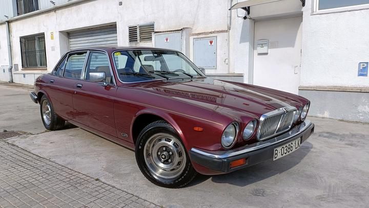 JAGUAR XJ6 1983 sajjaalp4cc350525