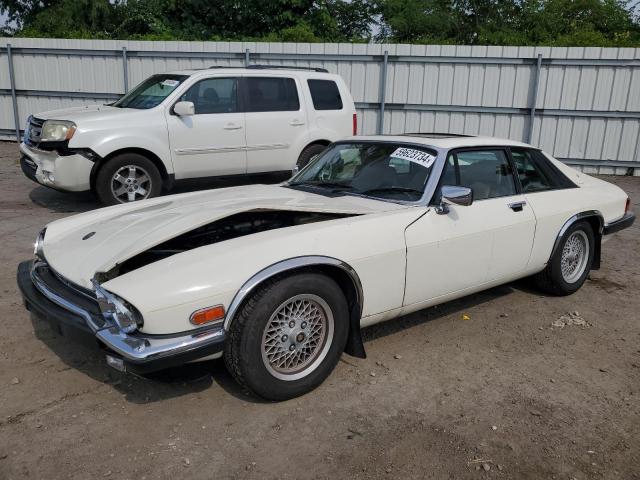 JAGUAR XJS 1989 sajna5841kc150225