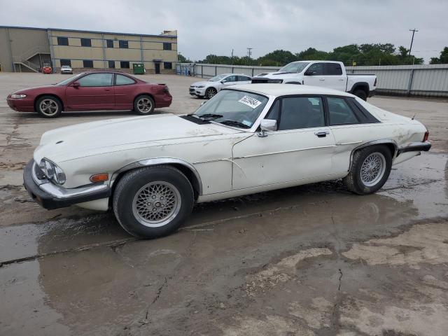 JAGUAR XJS 1989 sajna5842kc149956