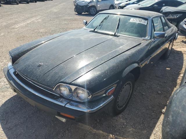 JAGUAR XJS 1988 sajna5843jc140648