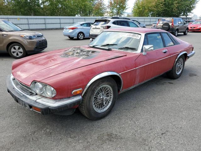 JAGUAR XJS 1988 sajna5845jc147472