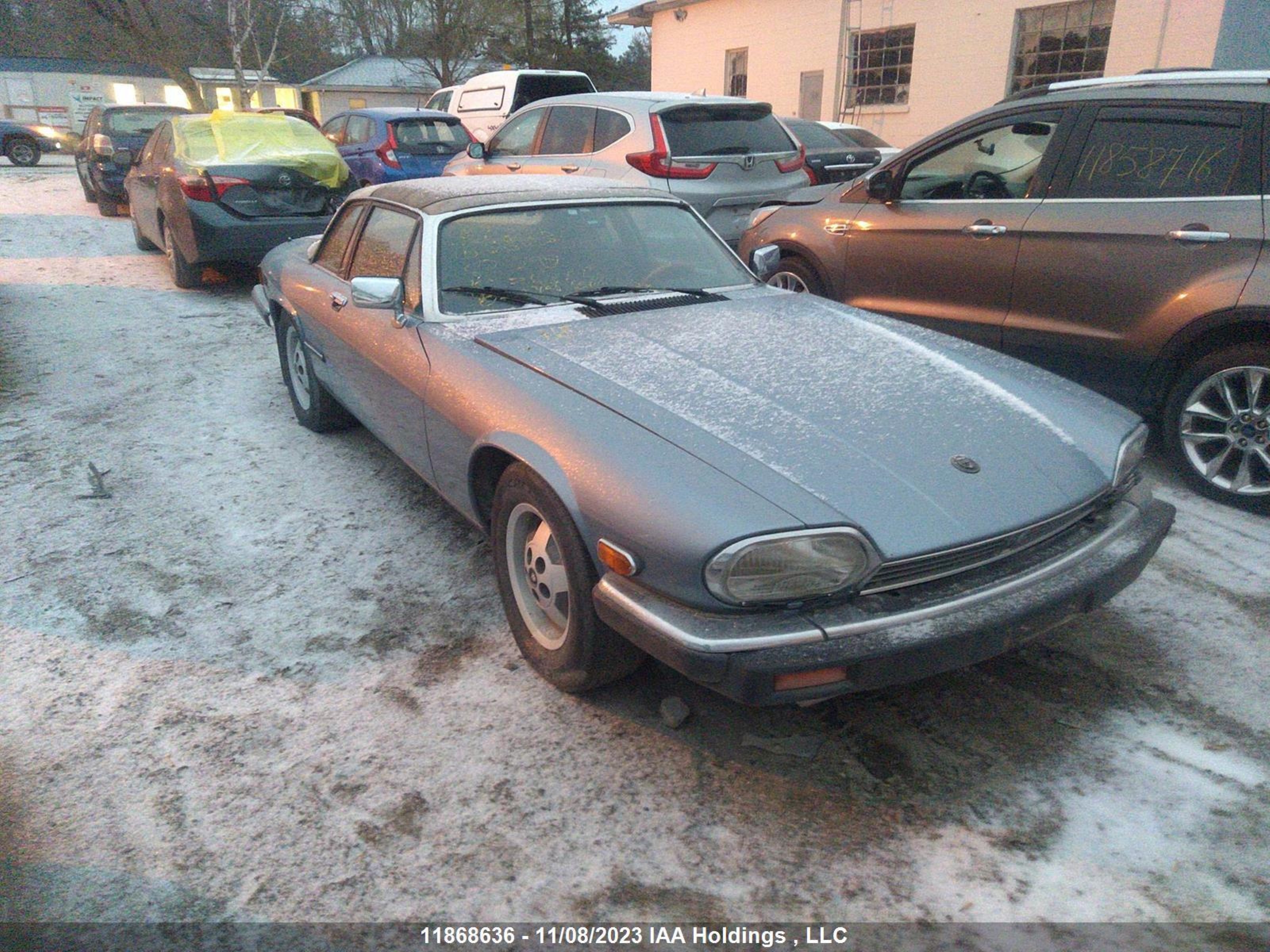 JAGUAR NULL 1987 sajnl304xhc140246