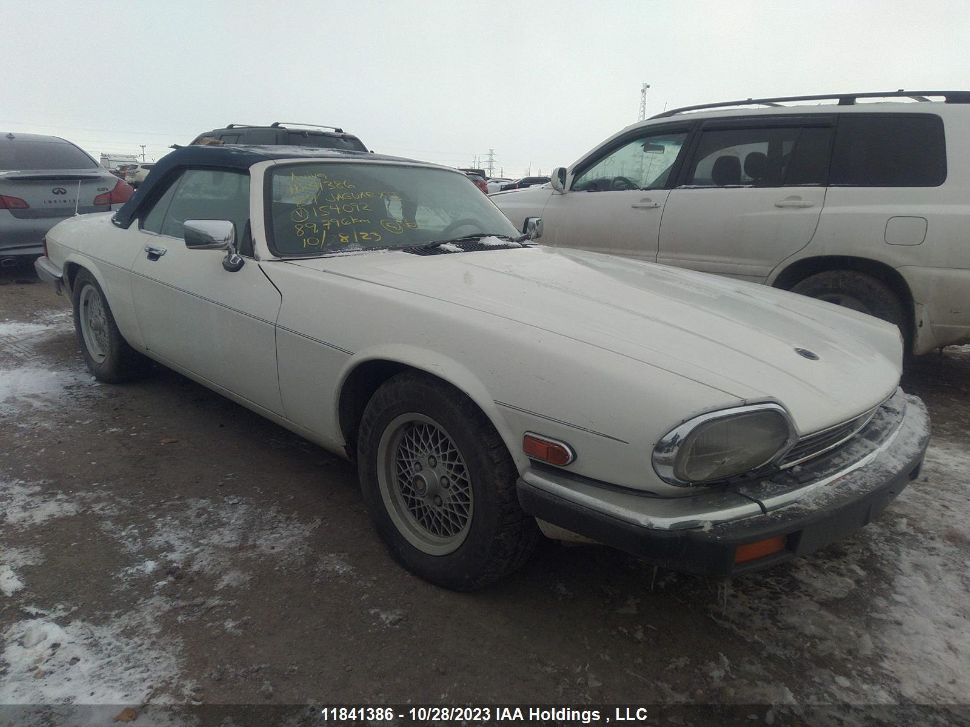 JAGUAR XJS 1989 sajnl4840kc154092