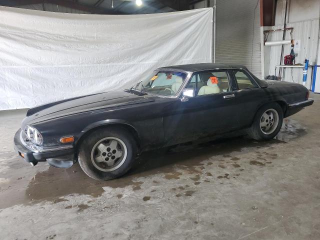 JAGUAR XJSC HE 1986 sajnv3845gc133458