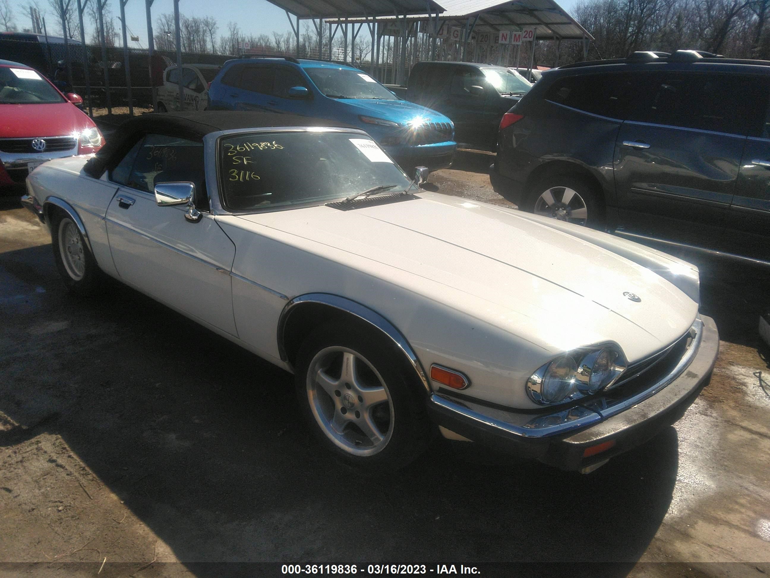 JAGUAR XJS 1989 sajnv4840kc153762