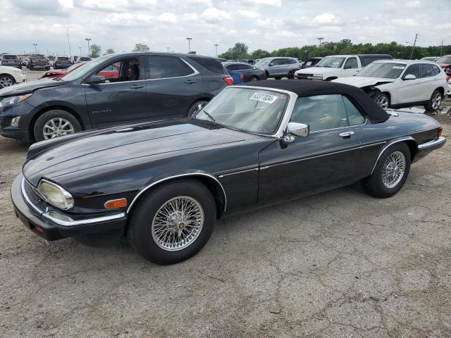 JAGUAR XJS 1989 sajnv4842kc162138