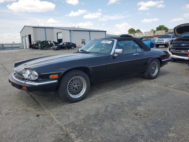 JAGUAR XJS 1989 sajnv4844kc158236