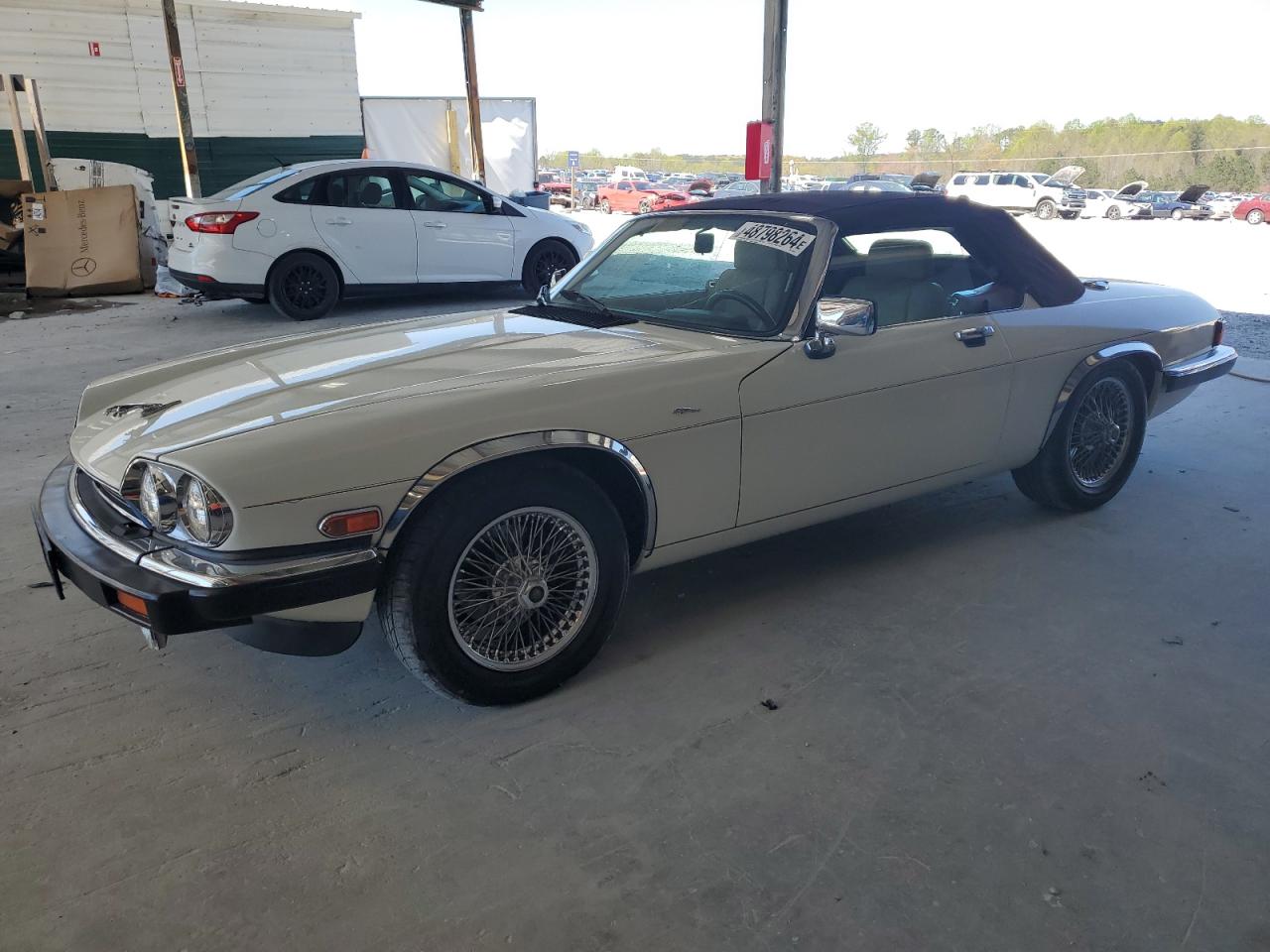 JAGUAR XJS 1989 sajnv4848kc156697