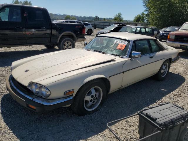 JAGUAR XJS 1985 sajnv5841fc117901