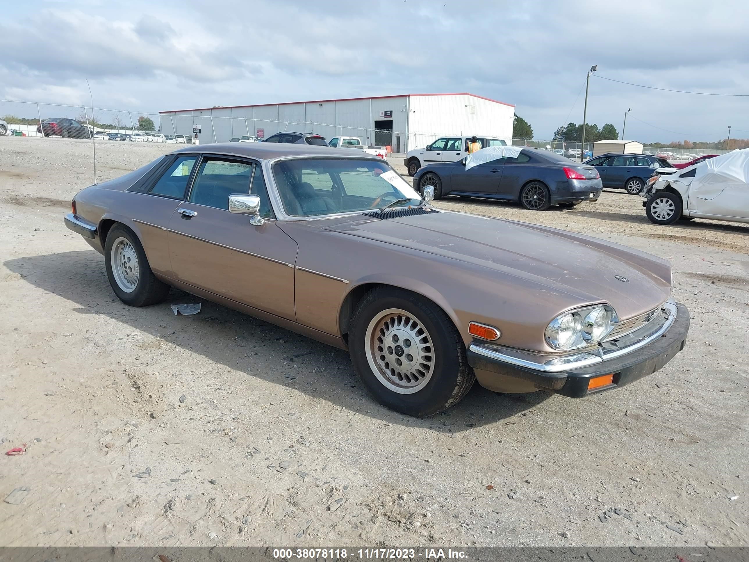 JAGUAR XJS 1985 sajnv5841fc119065