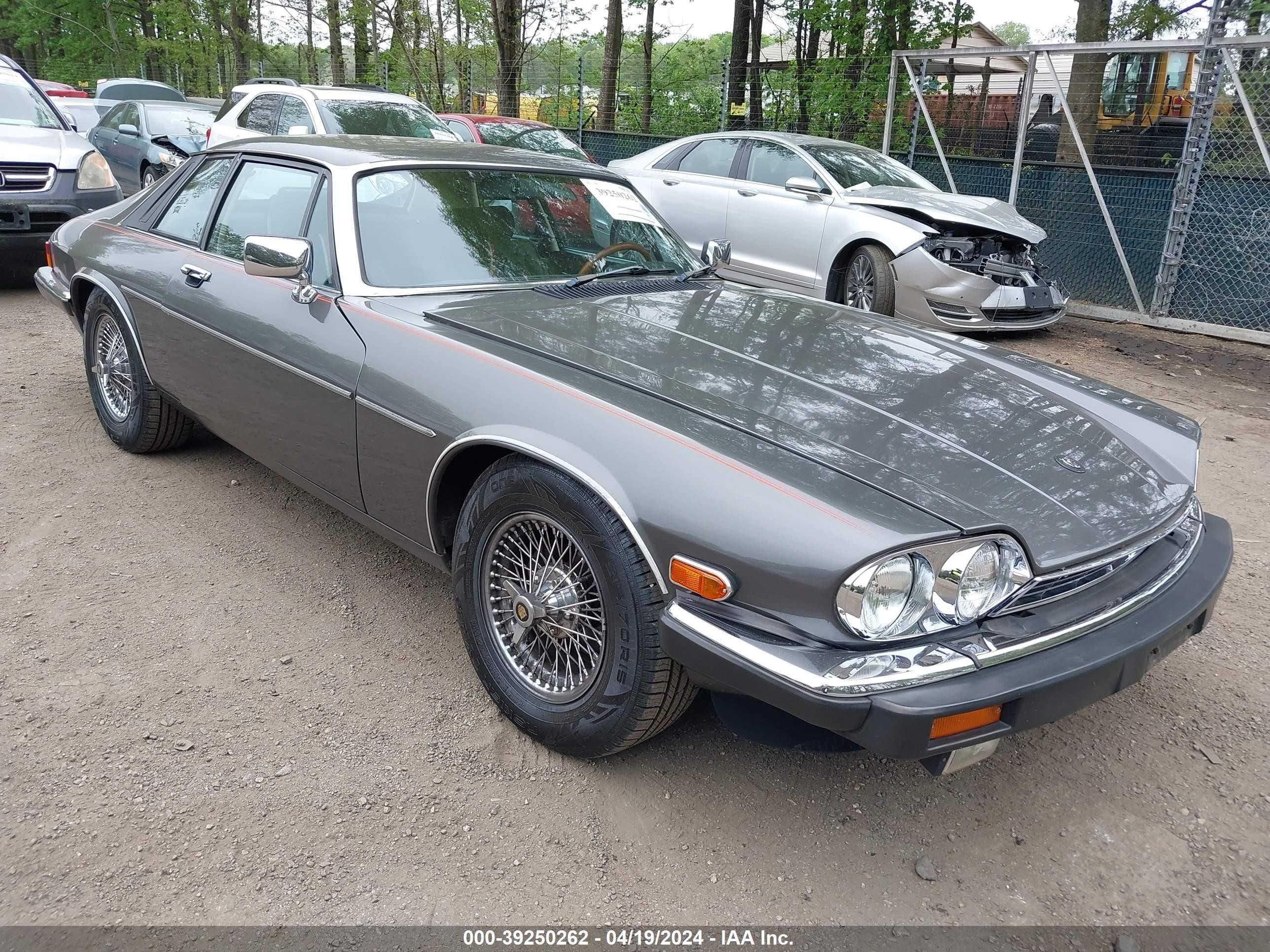 JAGUAR XJS 1986 sajnv5841gc131346