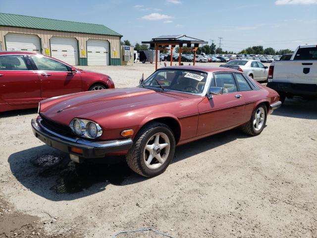 JAGUAR XJS 1983 sajnv5842dc109724