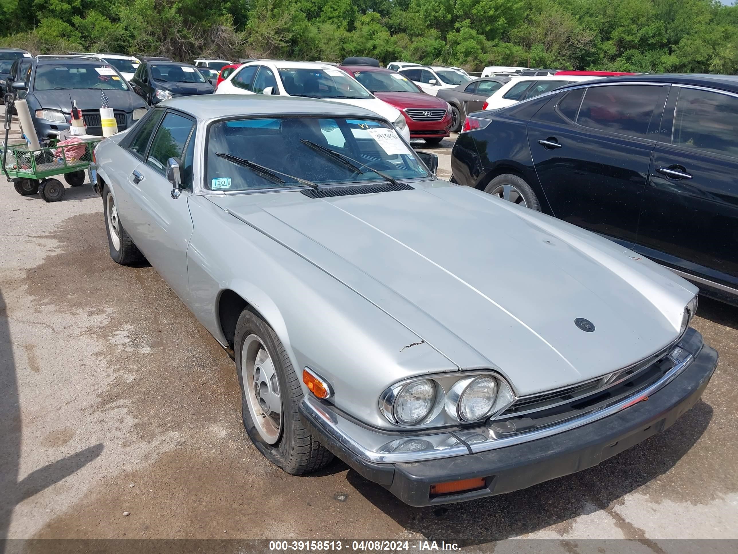 JAGUAR XJS 1985 sajnv5842fc122086