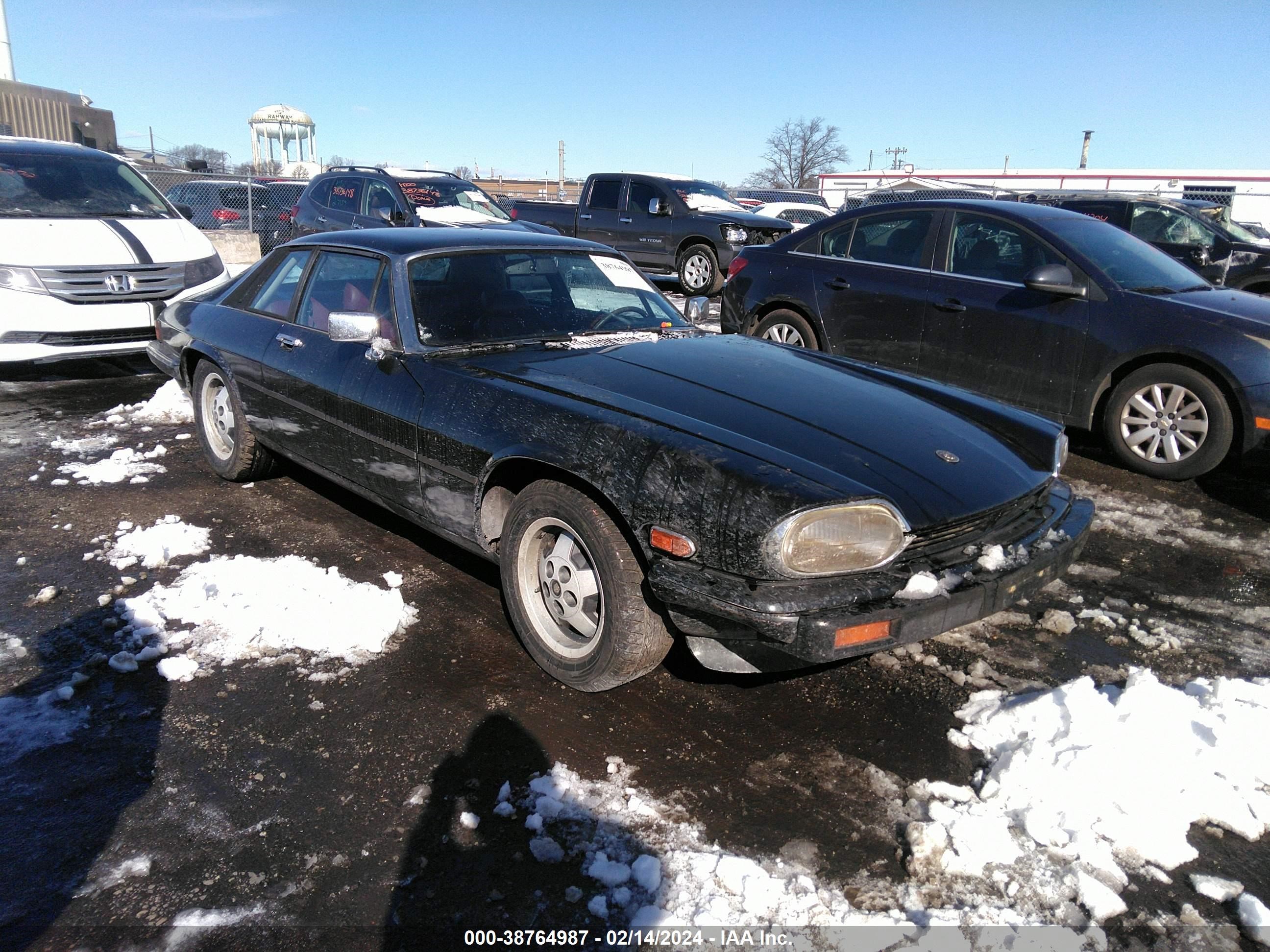 JAGUAR XJS 1985 sajnv5844fc124647