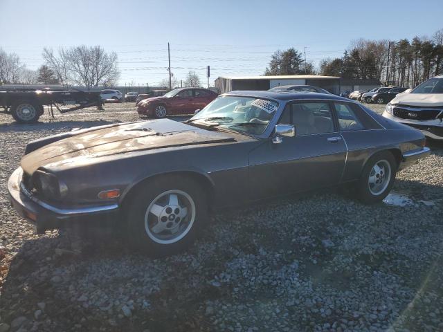 JAGUAR XJS 1986 sajnv5845gc132094