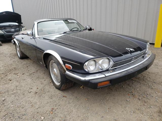 JAGUAR XJS 1988 sajnv5845jc144575