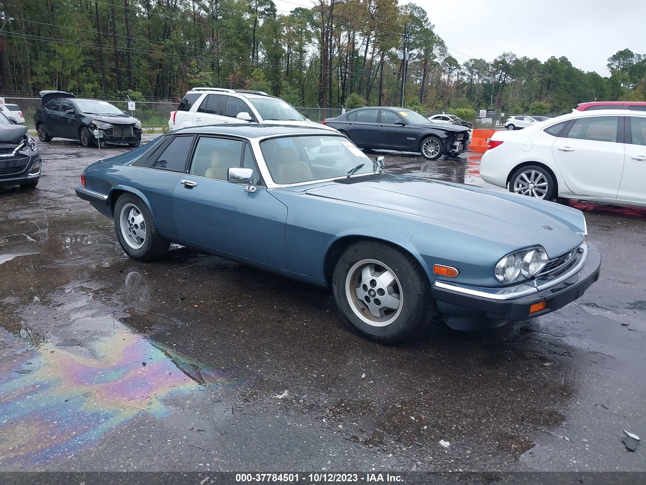 JAGUAR XJS 1986 sajnv5846gc128636