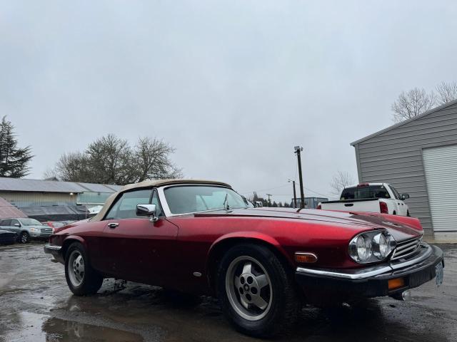 JAGUAR XJS 1988 sajnv5847jc139362