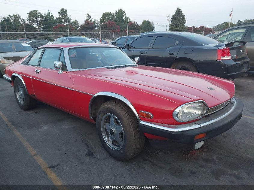 JAGUAR XJS 1983 sajnv5849dc111552