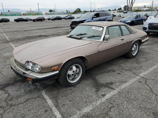 JAGUAR XJS 1985 sajnv5849fc118701