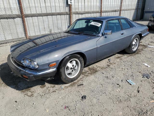 JAGUAR XJS 1986 sajnv5849gc125584