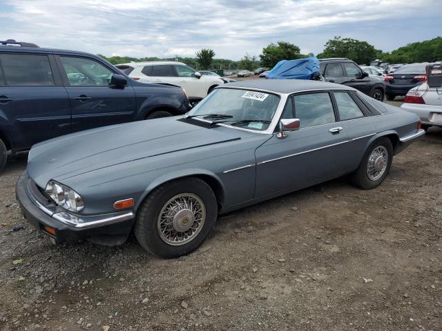 JAGUAR XJS 1986 sajnv5849gc125956