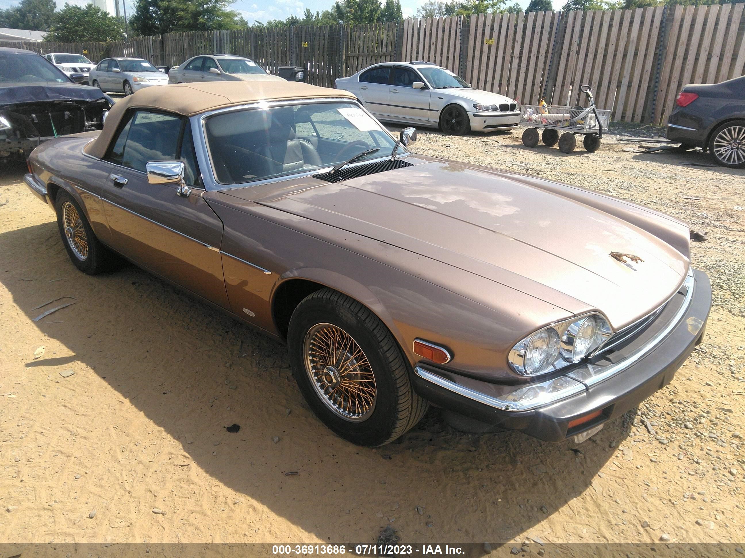 JAGUAR XJS 1988 sajnv584xjc143714