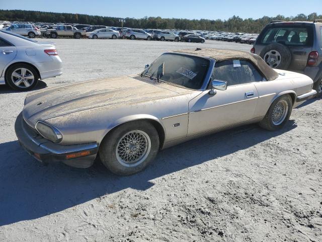 JAGUAR XJS 1993 sajnw4744pc186110