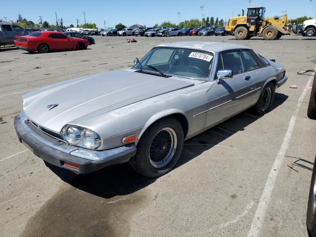 JAGUAR XJS 1990 sajnw5843lc171709