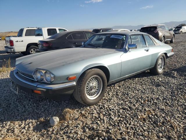 JAGUAR XJS 1990 sajnw5846lc164012