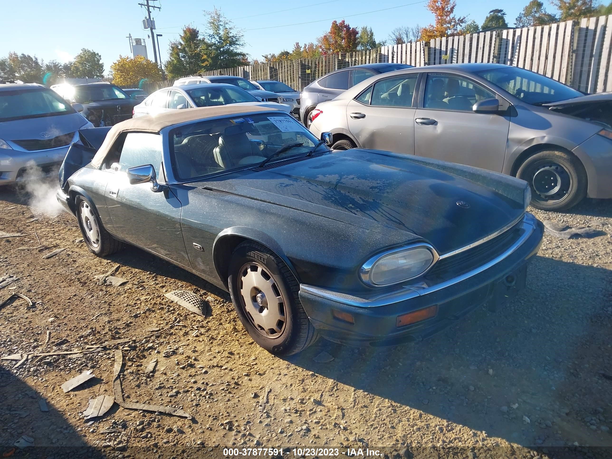 JAGUAR XJS 1996 sajnx2743tc226317