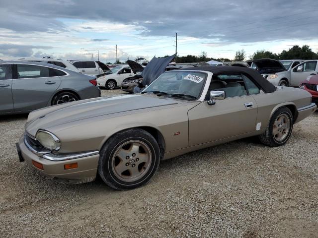 JAGUAR XJS 2+2 1995 sajnx2748sc195936