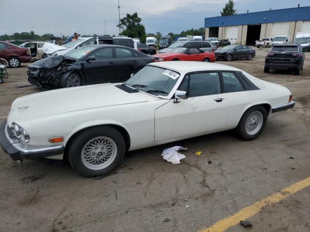 JAGUAR XJS 1989 sajny5841kc158465