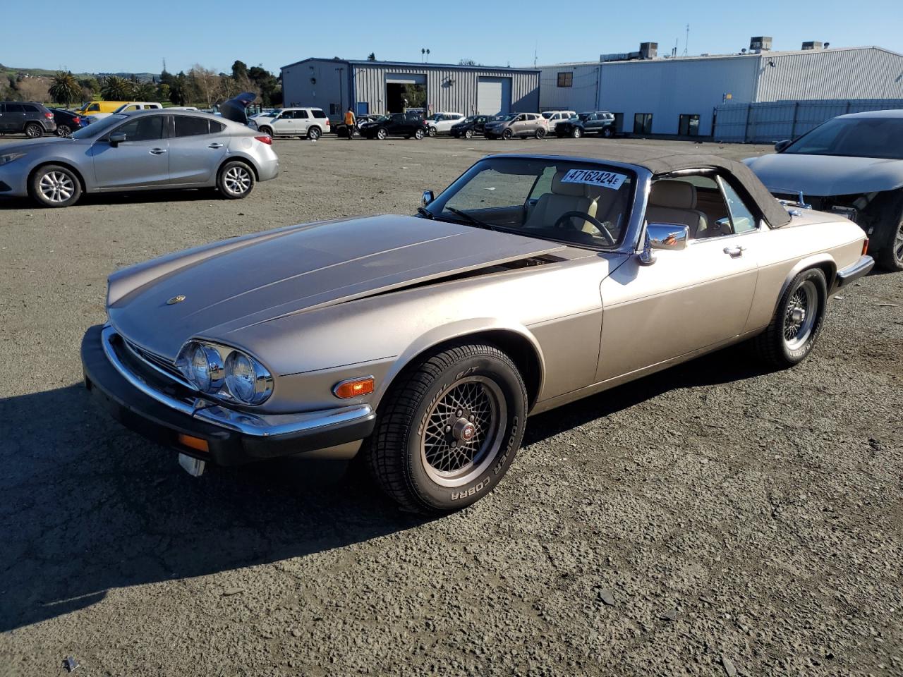 JAGUAR XJS 1991 sajtw4843mc178503