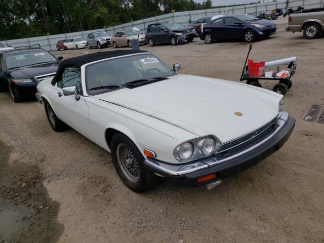 JAGUAR XJ-S 1991 sajtw4847mc177063