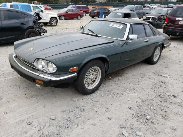 JAGUAR XJ 1991 sajtw5846mc176654