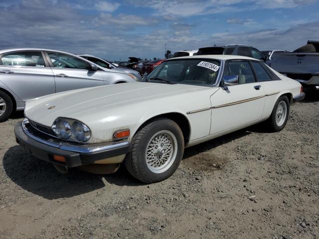 JAGUAR XJS 1990 sajtw5848lc174919