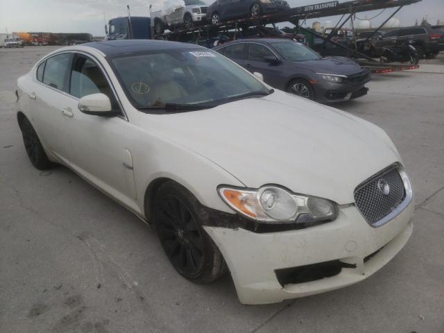 JAGUAR XF PREMIUM 2009 sajwa06b39hr36274