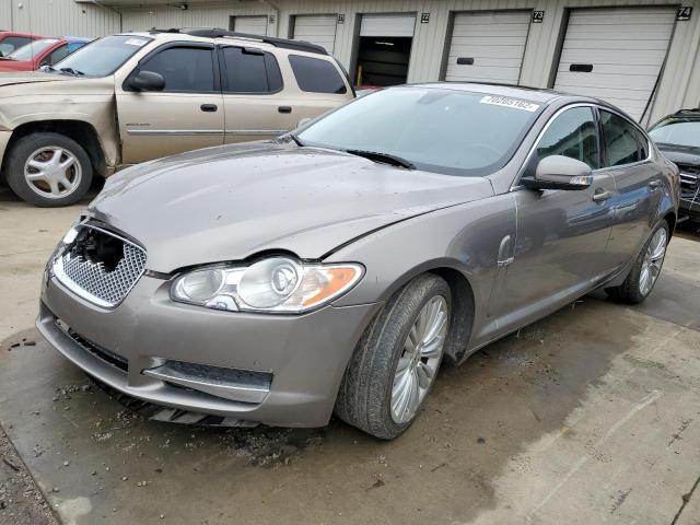 JAGUAR XF PREMIUM 2009 sajwa06b59hr24823