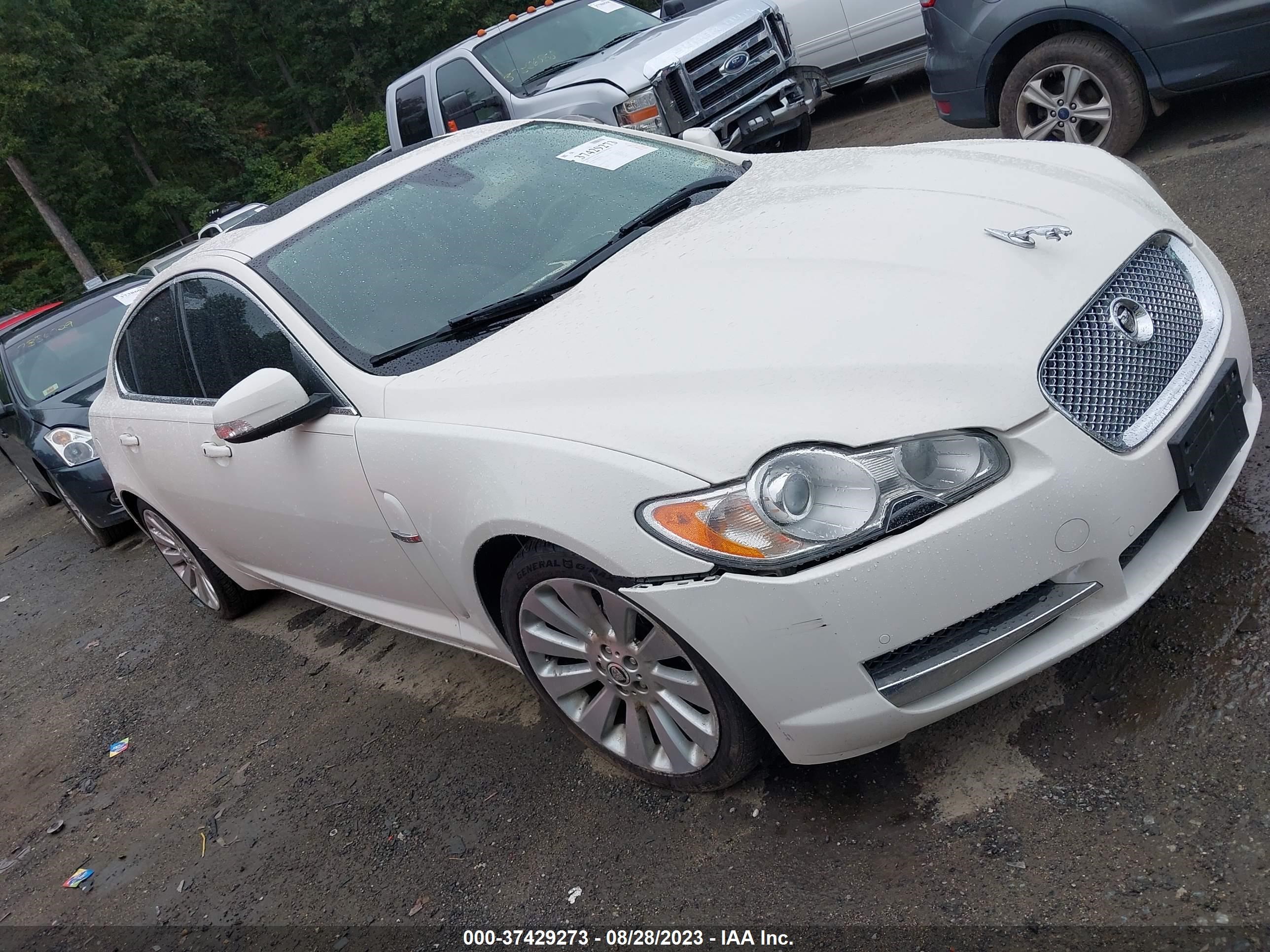 JAGUAR XF 2009 sajwa06b69hr03463