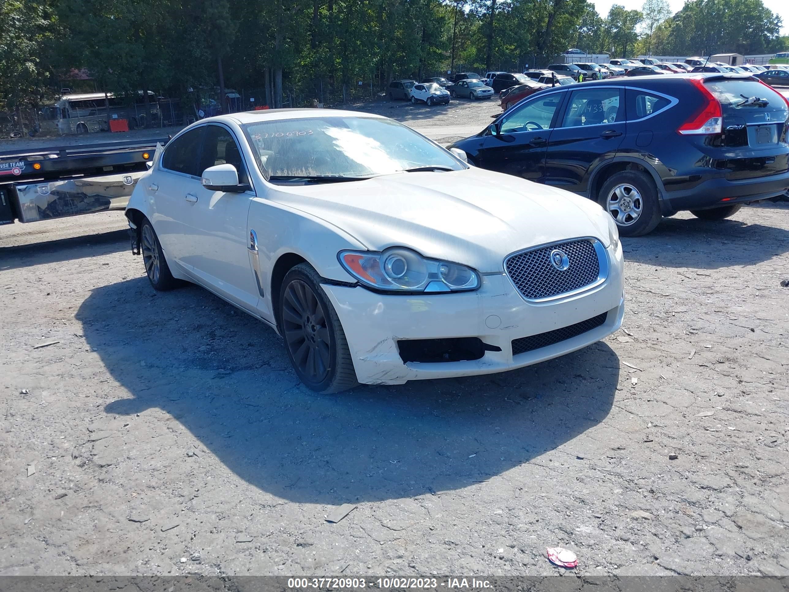 JAGUAR XF 2009 sajwa06b69hr05066