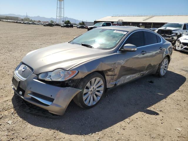 JAGUAR XF PREMIUM 2009 sajwa06b69hr20859