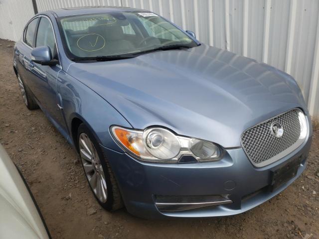 JAGUAR XF PREMIUM 2009 sajwa06b89hr00712